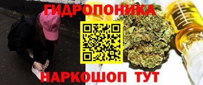 стаф Заводоуковск