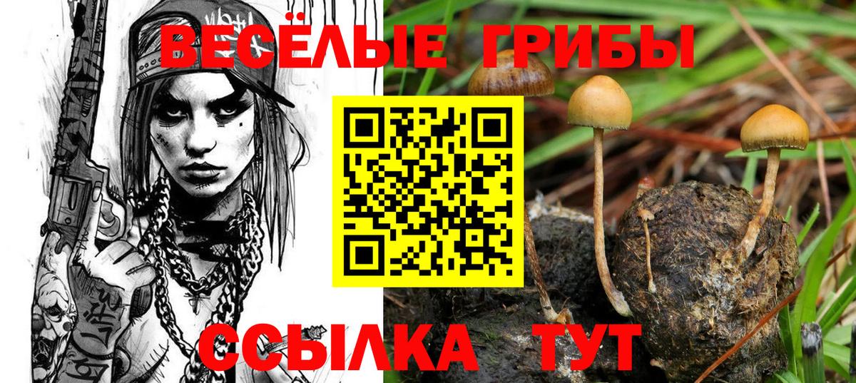 Галлюциногенные грибы мухоморы  Вход с VPN  Электрогорск 