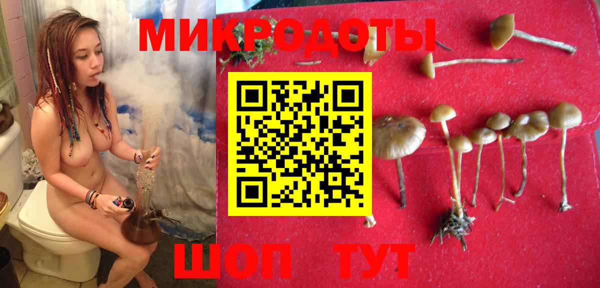 Псилоцибиновые грибы мицелий Электрогорск